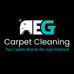 Aeg carpet cleaning Profile Picture