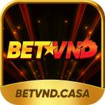 Betvnd Casa Profile Picture