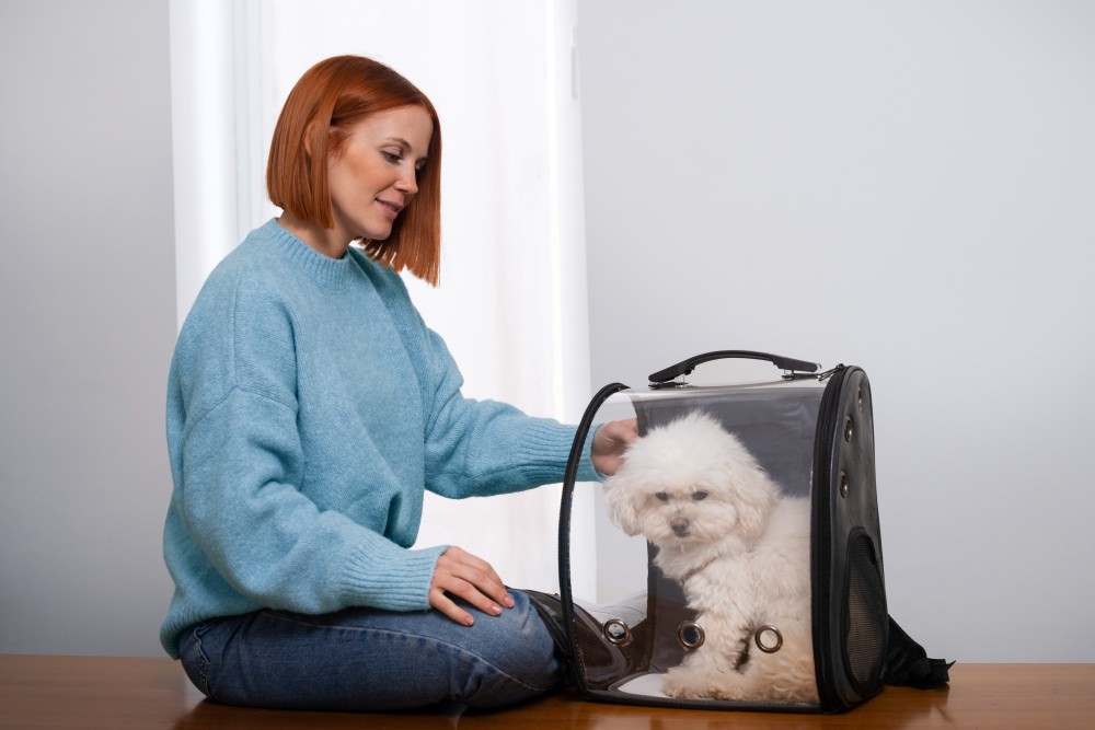 Preparing Your Pet for International Relocation to UAE