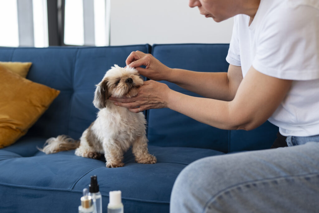 Allergy Shots for Dogs: Things You Should Know