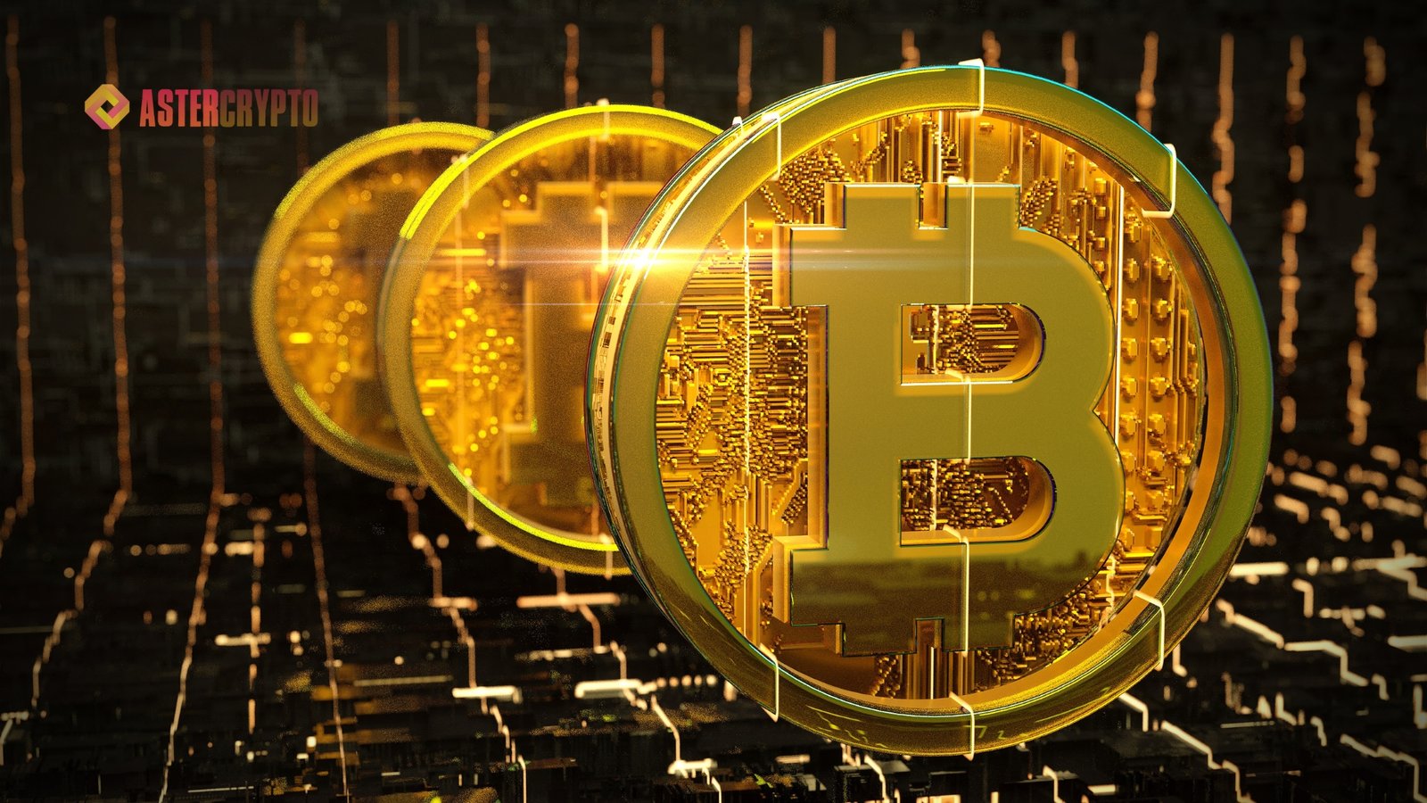 Top Bitcoin Investment Companies for Cryptocurrency in 2024