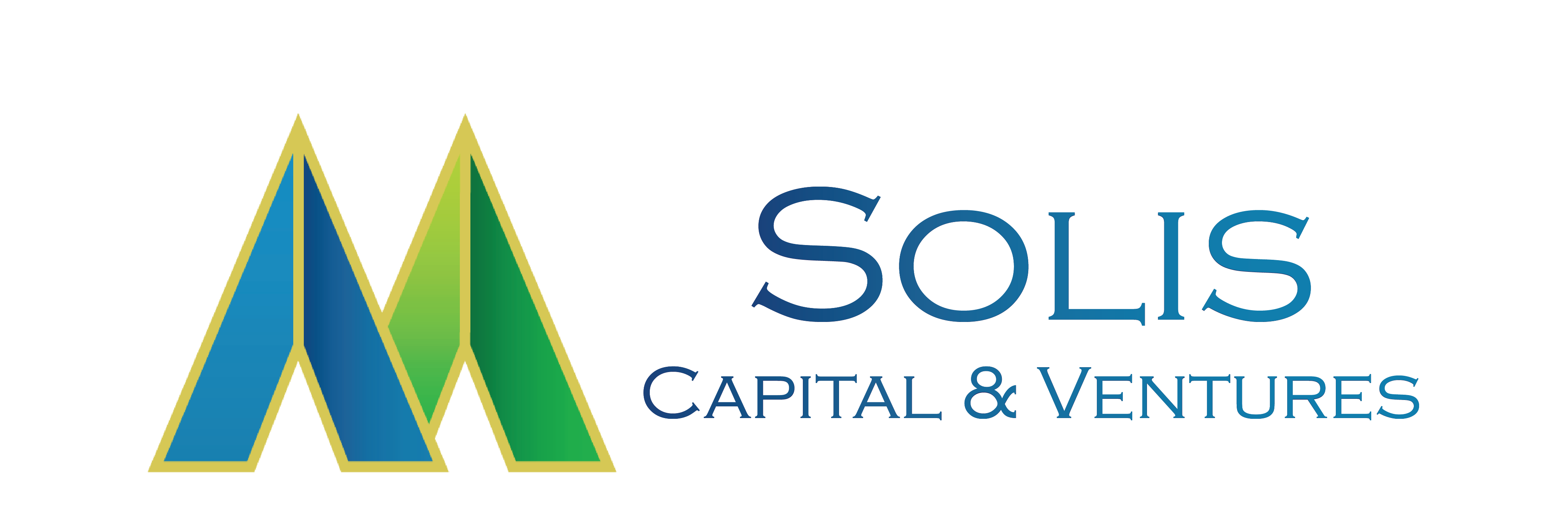 Solis Capital and Ventures | Venture Capital Firm in Gurgaon