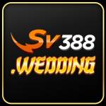 sv388 wedding Profile Picture