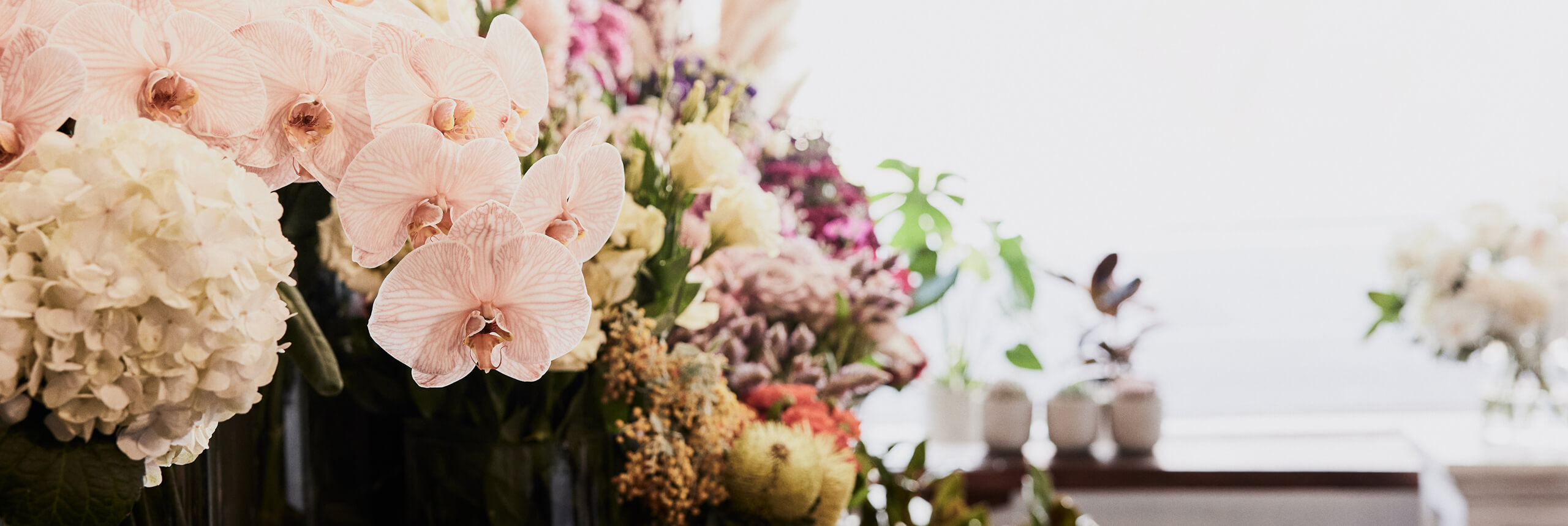 Same Day Flower Delivery Taylors Hill I The Flower Shed