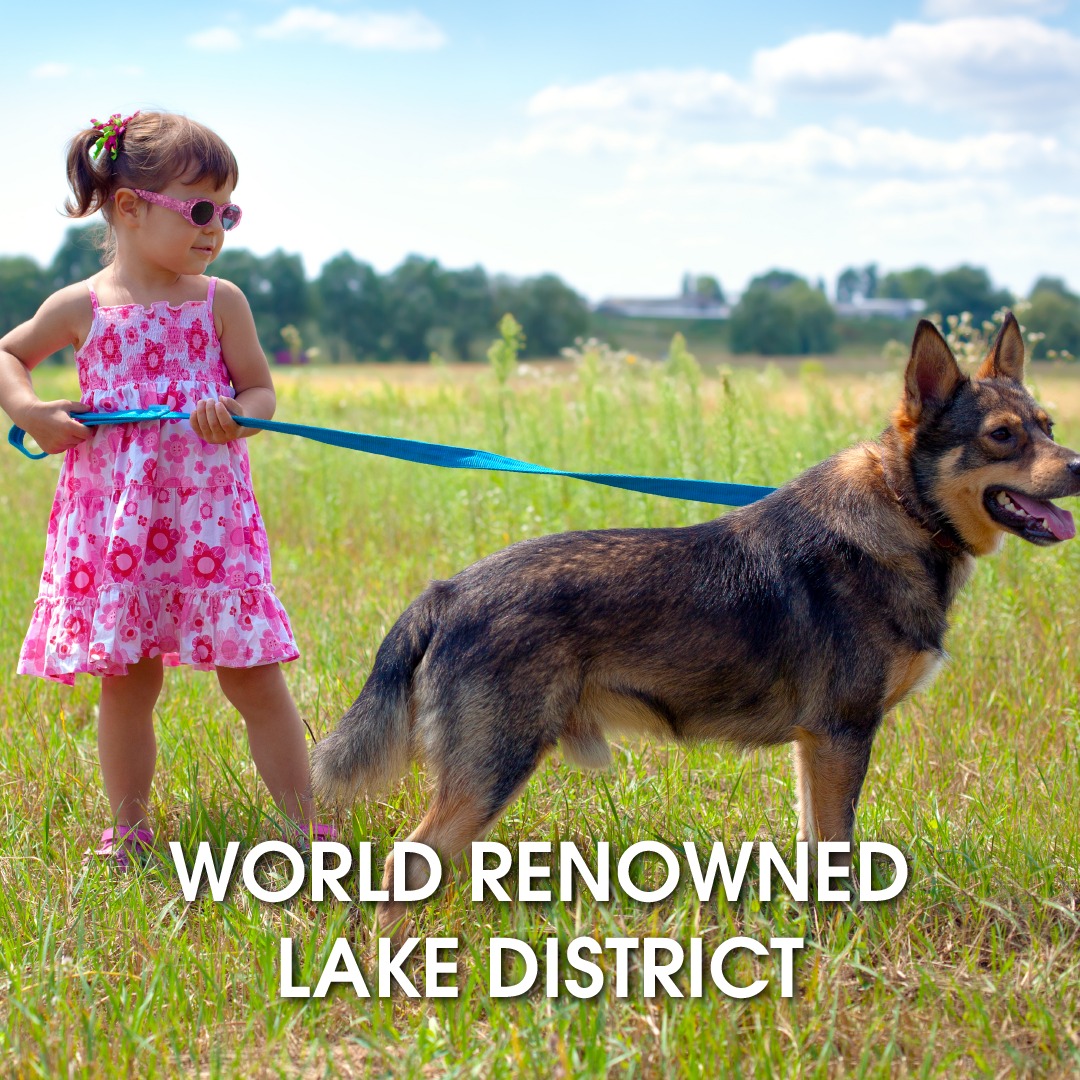 How Does the Best Pet-Friendly Accommodation Lake District Retain Clients?