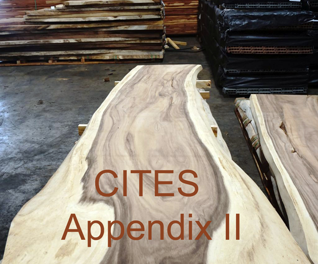 ABS Wood Prepares for CITES Appendix II Listing of Ipe and Cumaru | ABS Wood