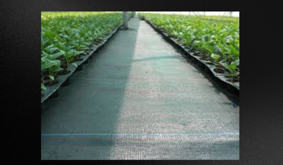 Effective Weed Management: Discover the Benefits of Weed Mats