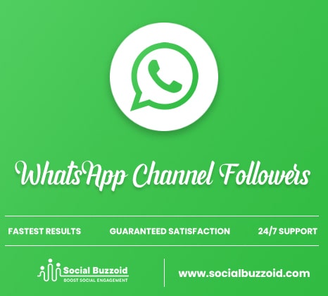 Buy WhatsApp Channel Followers to Expand Your Reach | Social Buzzoid