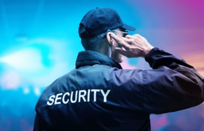 Event Security Services Beyond The Basics - Crivva