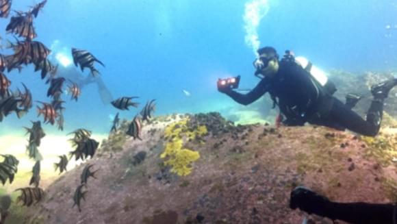 Dive into a New Career: Become a Dive Instructor in Aus...