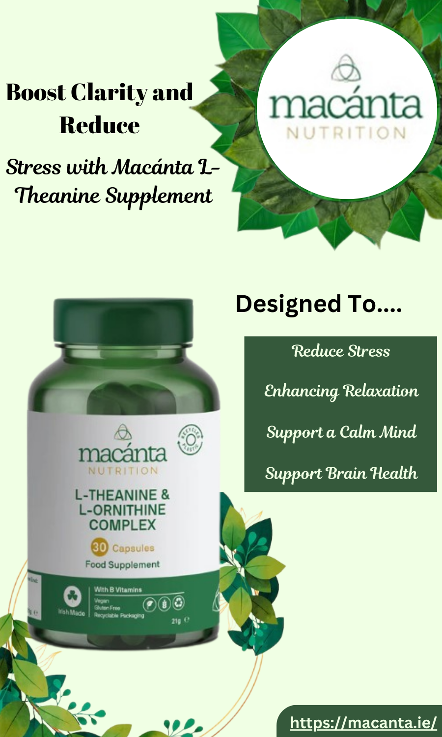 Boost Clarity and Reduce Stress with Macánta L-Theanine Supplement