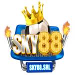 Sky 88 Profile Picture