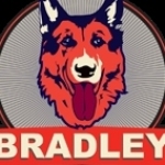 Bradley Plumbing and Gas Profile Picture